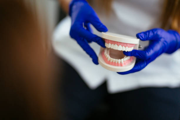 Dental X-Rays and Imaging in Forrest City, AR